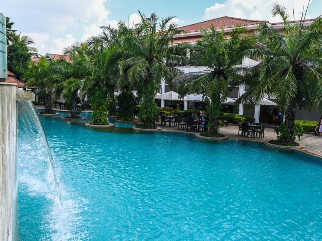 palm meadows resort