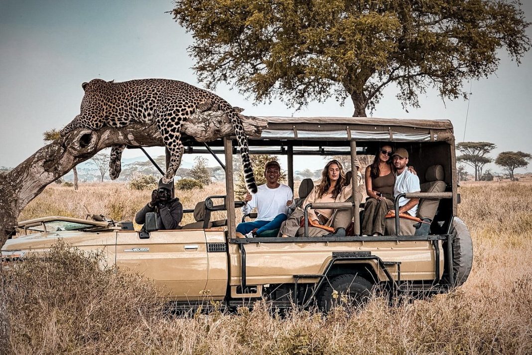 tadoba safari booking